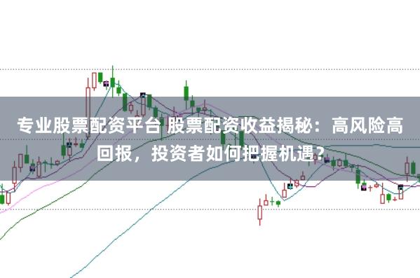 专业股票配资平台 股票配资收益揭秘：高风险高回报，投资者如何把握机遇？