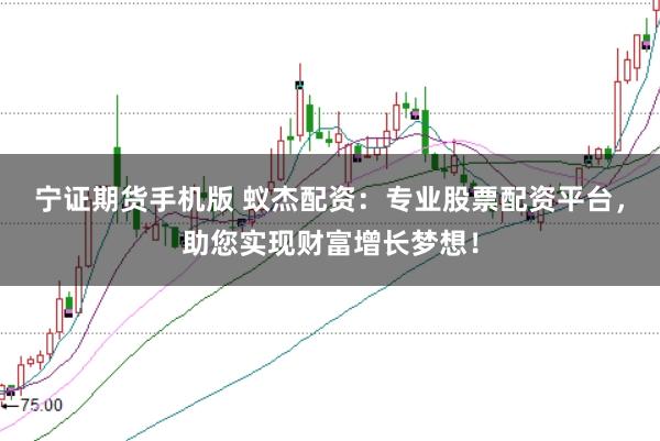 宁证期货手机版 蚁杰配资：专业股票配资平台，助您实现财富增长梦想！