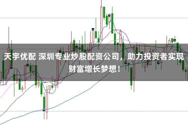 天宇优配 深圳专业炒股配资公司，助力投资者实现财富增长梦想！