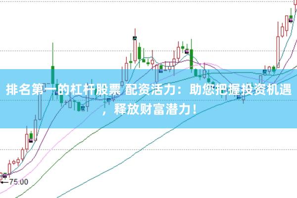 排名第一的杠杆股票 配资活力：助您把握投资机遇，释放财富潜力！