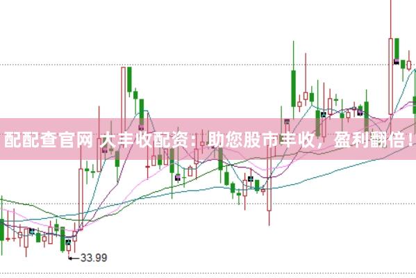 配配查官网 大丰收配资：助您股市丰收，盈利翻倍！