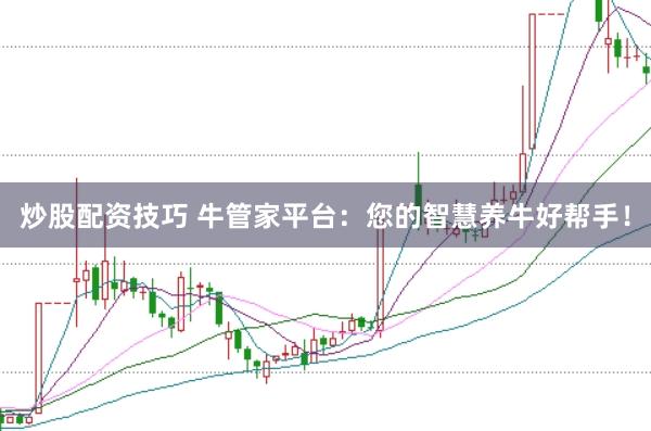炒股配资技巧 牛管家平台：您的智慧养牛好帮手！