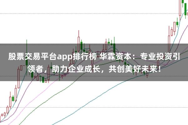 股票交易平台app排行榜 华霖资本：专业投资引领者，助力企业成长，共创美好未来！