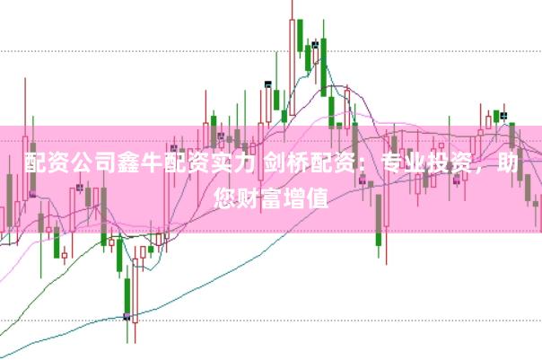 配资公司鑫牛配资实力 剑桥配资：专业投资，助您财富增值