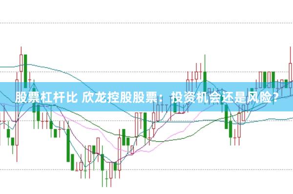 股票杠杆比 欣龙控股股票：投资机会还是风险？