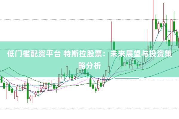 低门槛配资平台 特斯拉股票：未来展望与投资策略分析