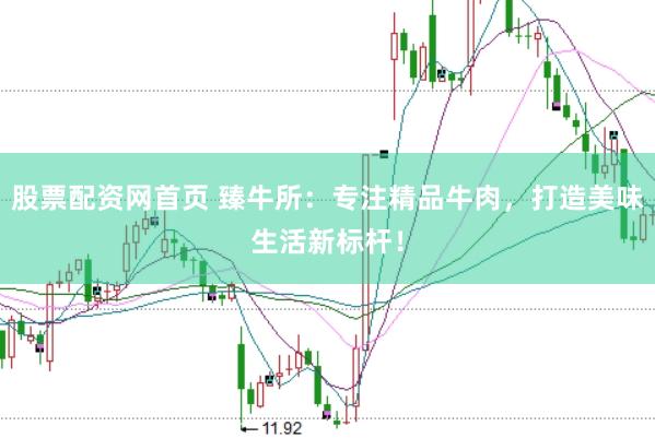股票配资网首页 臻牛所：专注精品牛肉，打造美味生活新标杆！