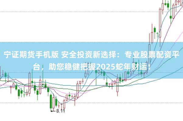 宁证期货手机版 安全投资新选择：专业股票配资平台，助您稳健把握2025蛇年财运！