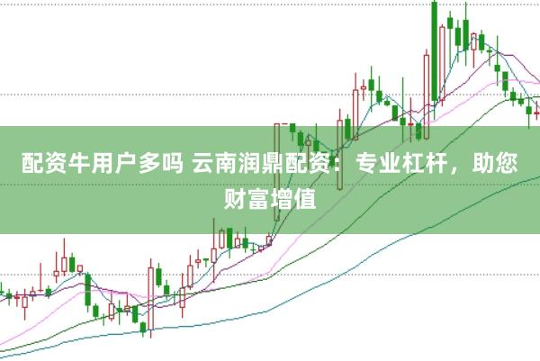 配资牛用户多吗 云南润鼎配资：专业杠杆，助您财富增值