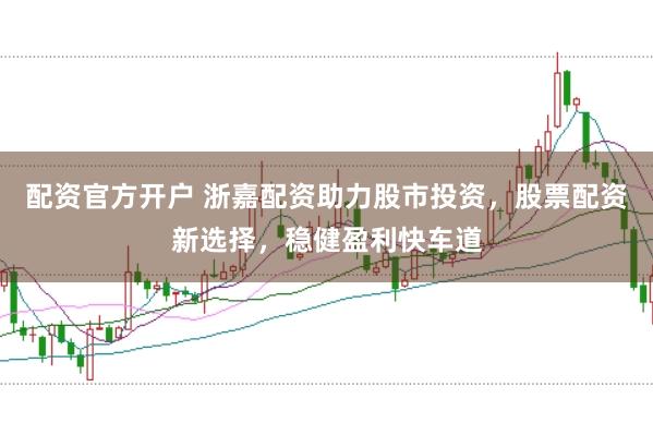 配资官方开户 浙嘉配资助力股市投资，股票配资新选择，稳健盈利快车道