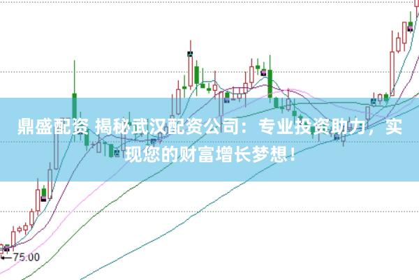 鼎盛配资 揭秘武汉配资公司：专业投资助力，实现您的财富增长梦想！