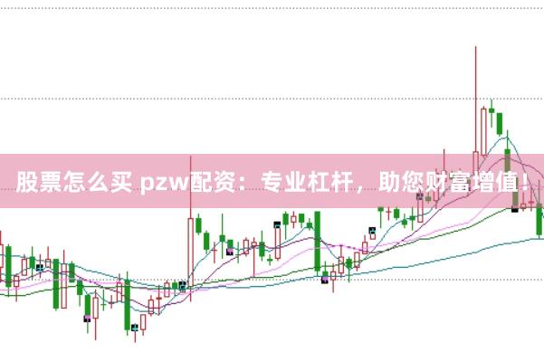 股票怎么买 pzw配资：专业杠杆，助您财富增值！
