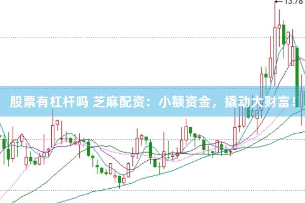 股票有杠杆吗 芝麻配资：小额资金，撬动大财富！