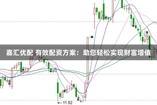 嘉汇优配 有效配资方案:助您轻松实现财富增值