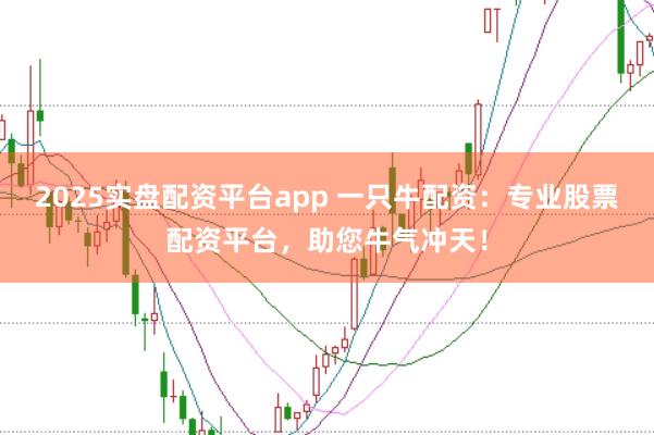 2025实盘配资平台app 一只牛配资：专业股票配资平台，助您牛气冲天！