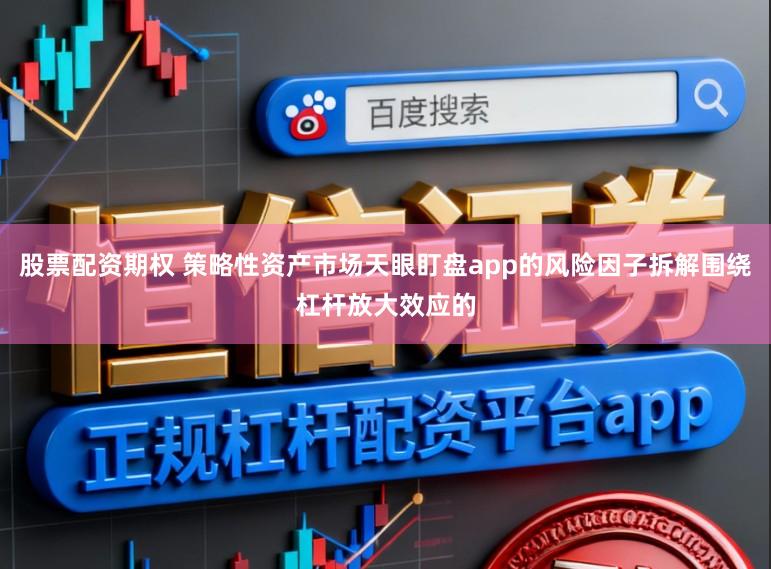 股票配资期权 策略性资产市场天眼盯盘app的风险因子拆解围绕杠杆放大效应的