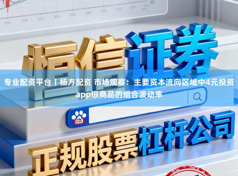 专业配资平台丨杨方配资 市场观察：主要资本流向区域中4元投资app银商品的组合波动率